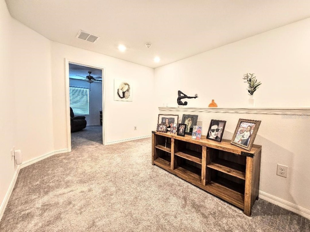 32105 Powderpuff Mimosa Drive San Antonio FL 33576 TB8427342 image15