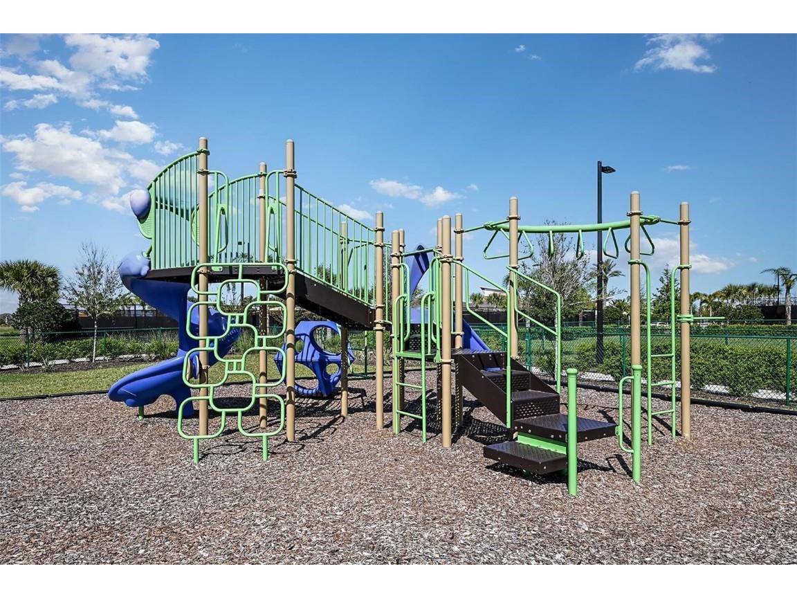 32105 Powderpuff Mimosa Drive San Antonio FL 33576 TB8427342 image19