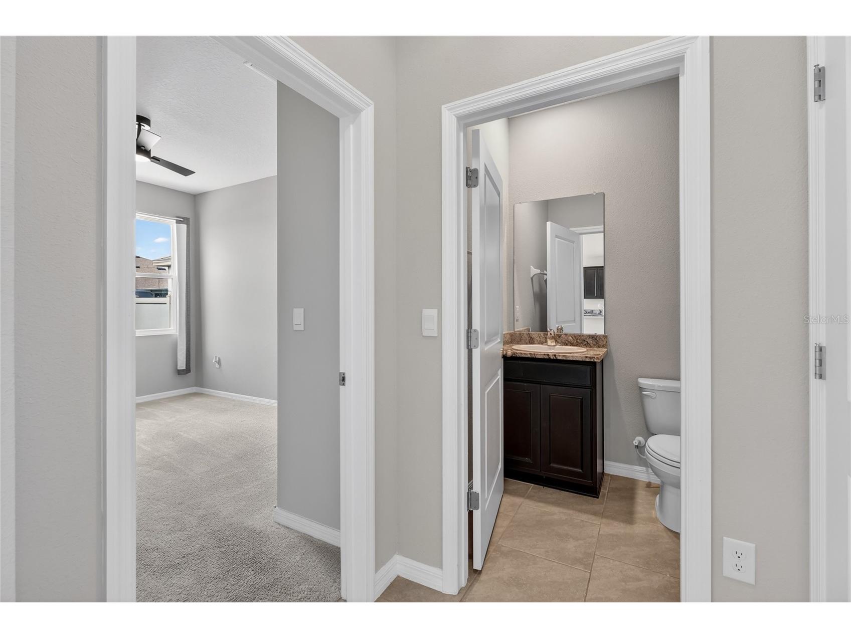 32107 Conchshell Sail Street Wesley Chapel FL 33545 TB8517250 image35