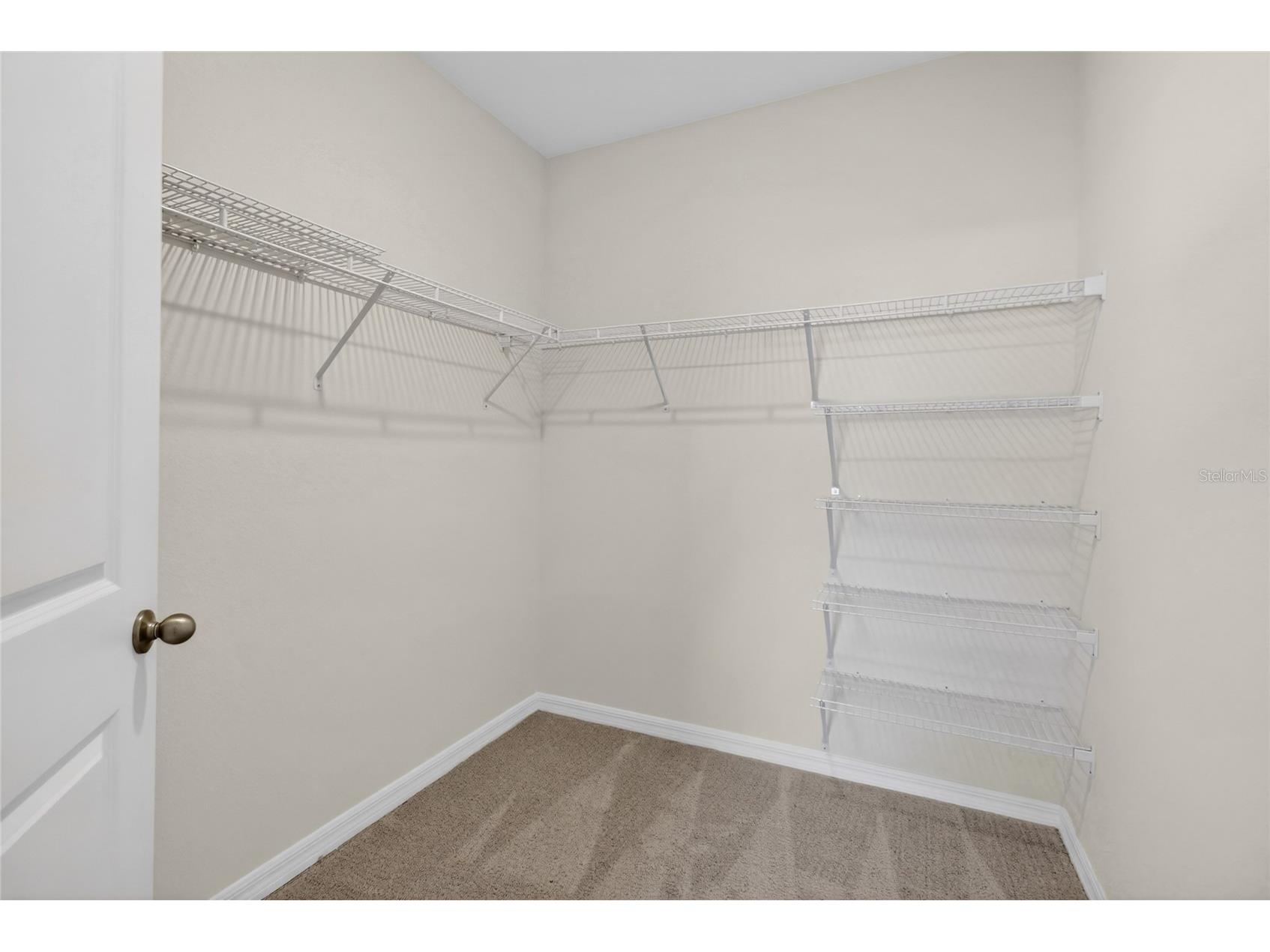 32107 Conchshell Sail Street Wesley Chapel FL 33545 TB8517250 image62
