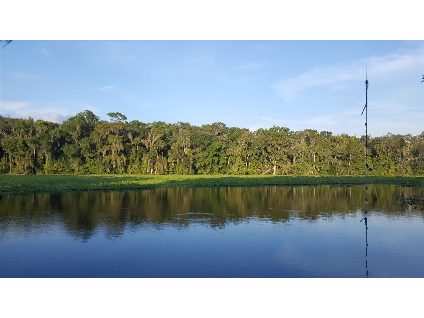 32108 Holopaw Trail Sorrento FL 32776 O6370992 image29