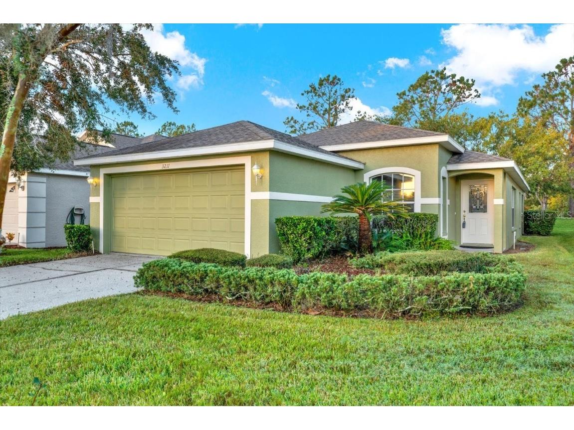3211 Banyan Hill Lane Land O Lakes FL 34639 W7864050 image1