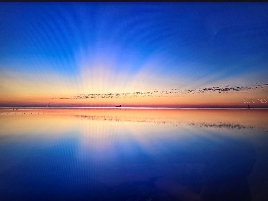 3211 Bayshore Boulevard NE Saint Petersburg FL 33703 - TAMPA BAY TB8310424 image1