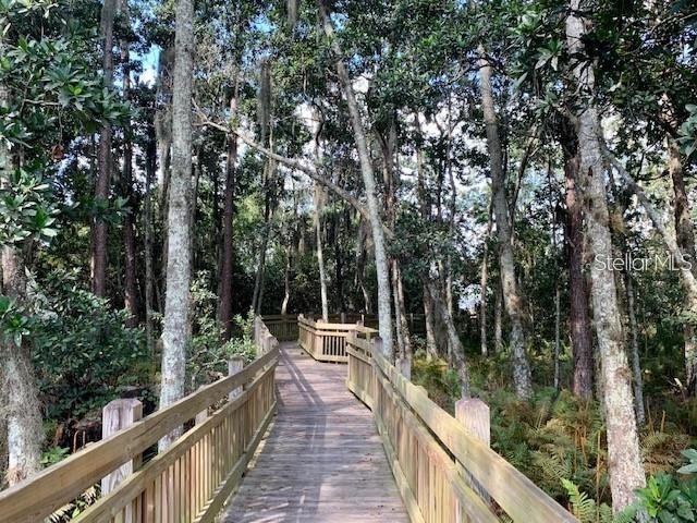 3211 Dark Sky Drive Harmony FL 34773 - Buck Lake O6366390 image30