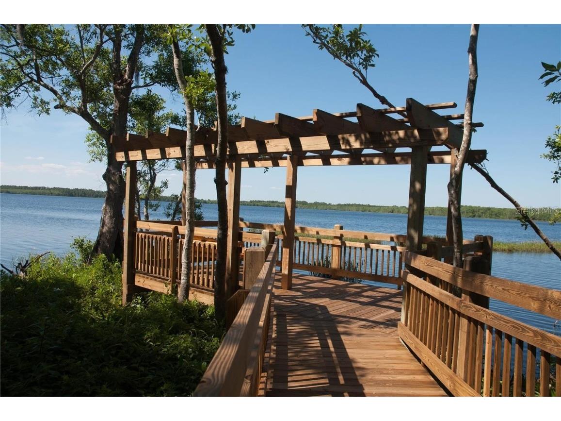 3211 Dark Sky Drive Harmony FL 34773 - Buck Lake O6366390 image31