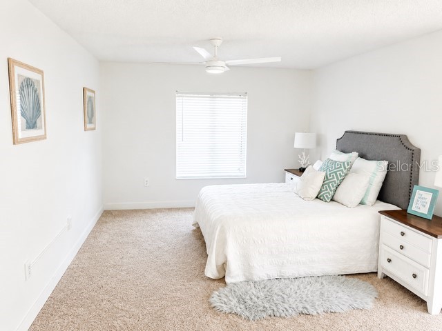 3211 Lake Pine Way E #A1 Tarpon Springs FL 34688 TB8504269 image26