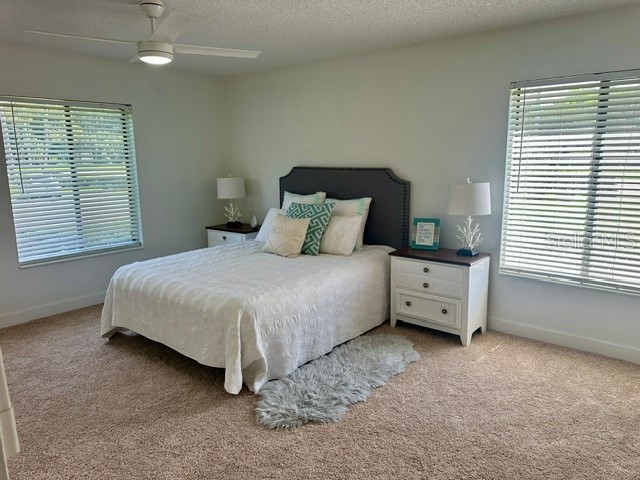 3211 Lake Pine Way E #A1 Tarpon Springs FL 34688 TB8504269 image28