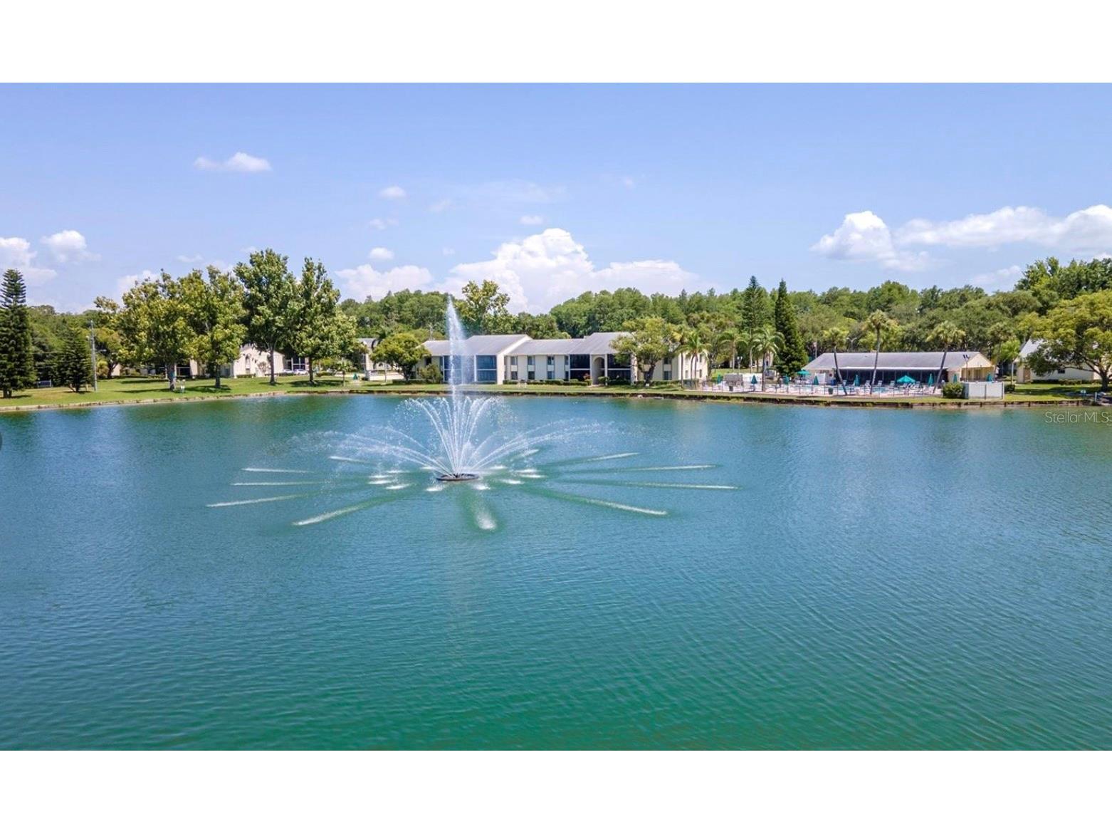3211 Lake Pine Way E #A1 Tarpon Springs FL 34688 TB8504269 image45