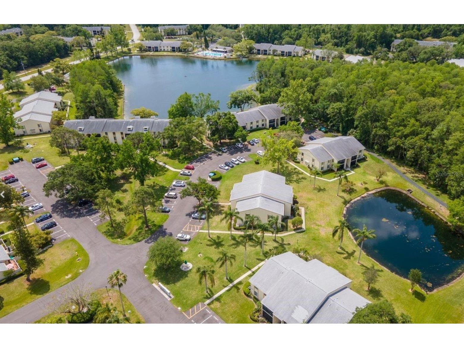 3211 Lake Pine Way E #A1 Tarpon Springs FL 34688 TB8504269 image46