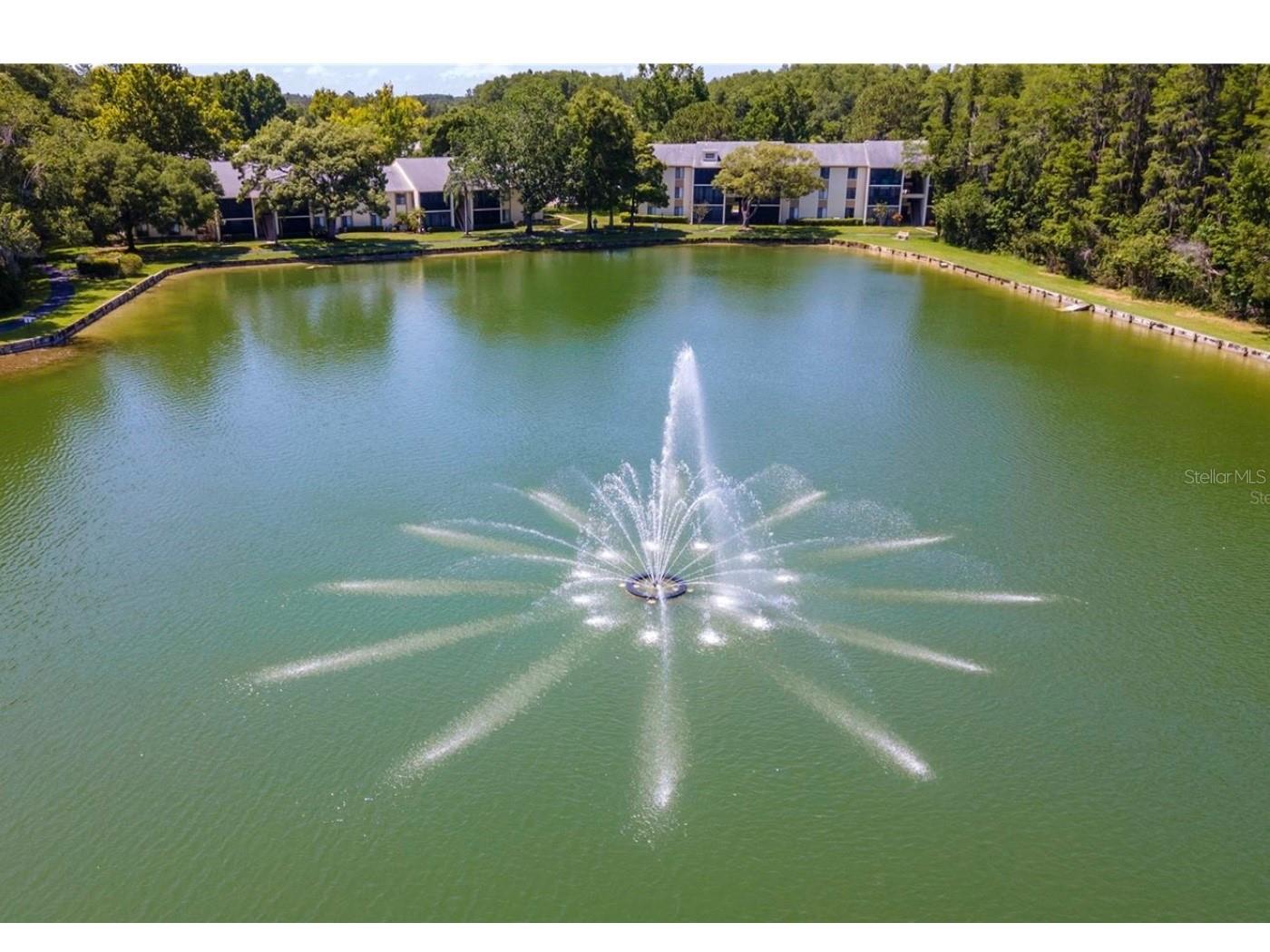 3211 Lake Pine Way E #A1 Tarpon Springs FL 34688 TB8504269 image47