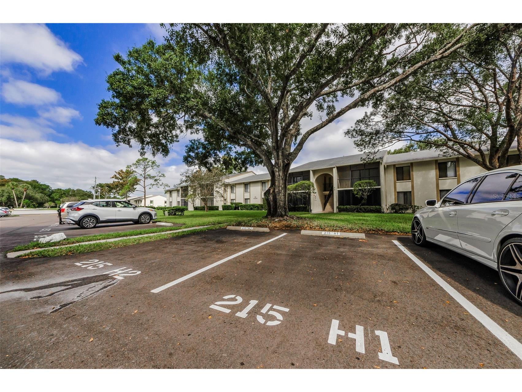 3211 Lake Pine Way E #H1 Tarpon Springs FL 34688 TB8432052 image45