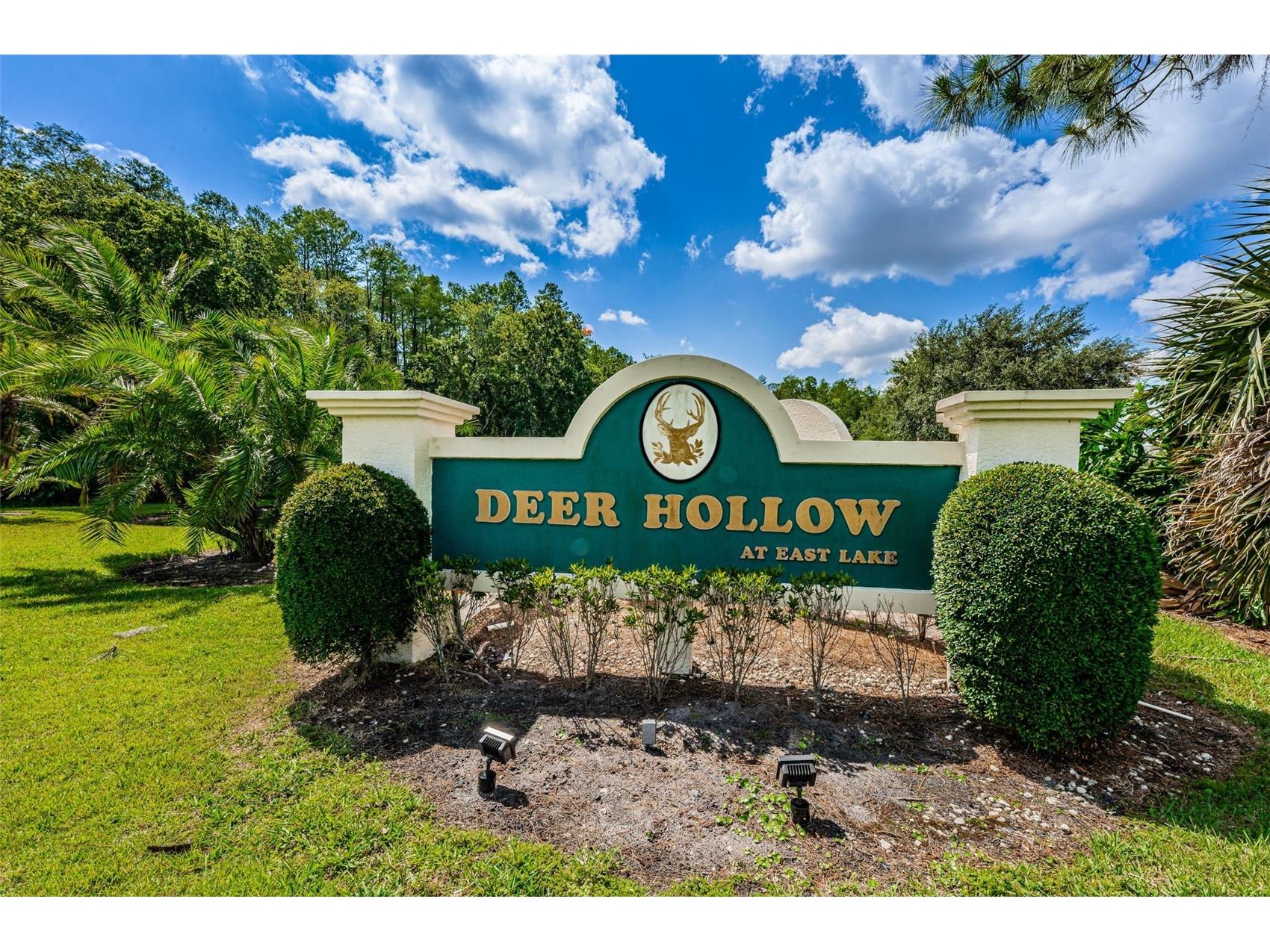 3211 Lake Pine Way E #H1 Tarpon Springs FL 34688 TB8432052 image46