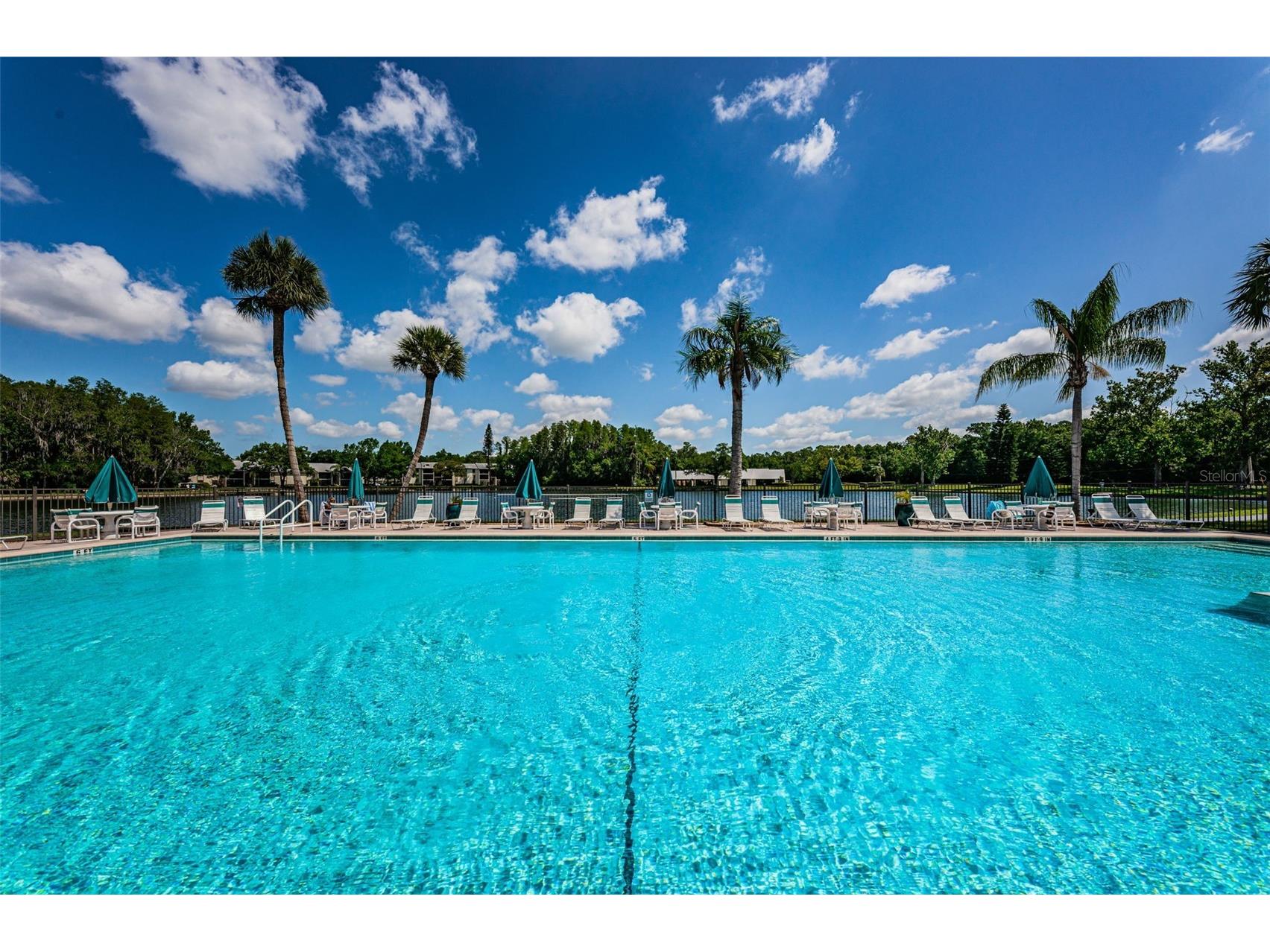 3211 Lake Pine Way E #H1 Tarpon Springs FL 34688 TB8432052 image52