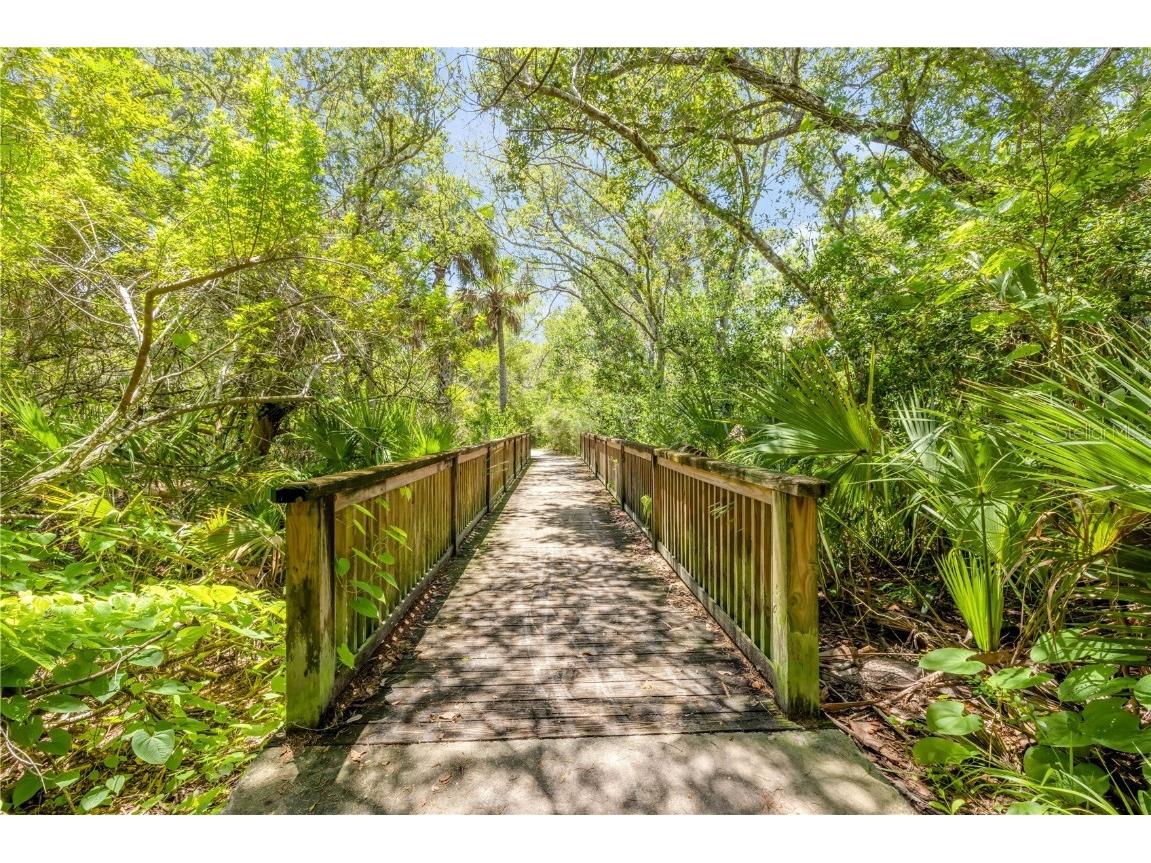 3211 Saxon Drive New Smyrna Beach FL 32169 NS1085668 image93