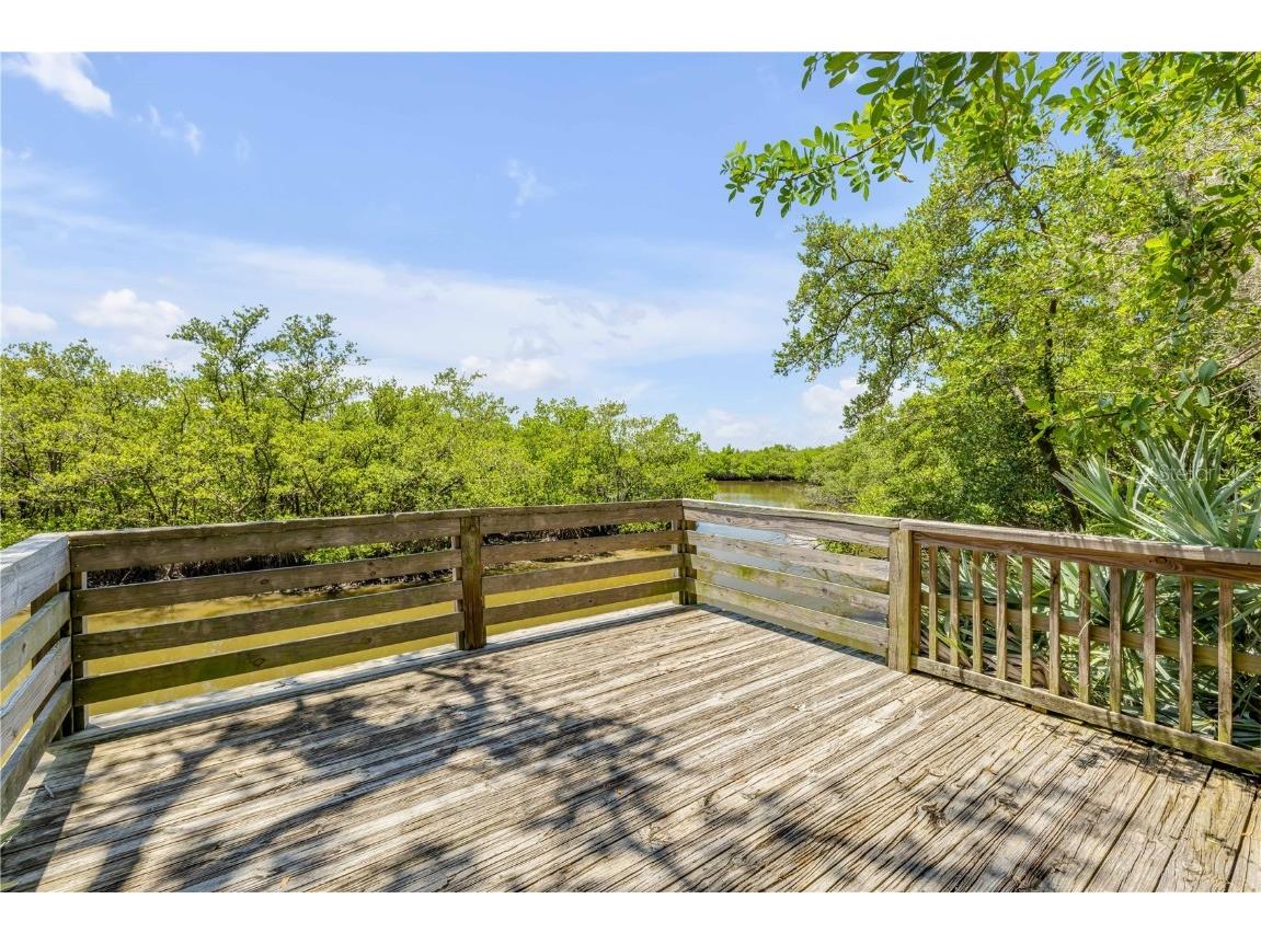 3211 Saxon Drive New Smyrna Beach FL 32169 NS1085668 image94