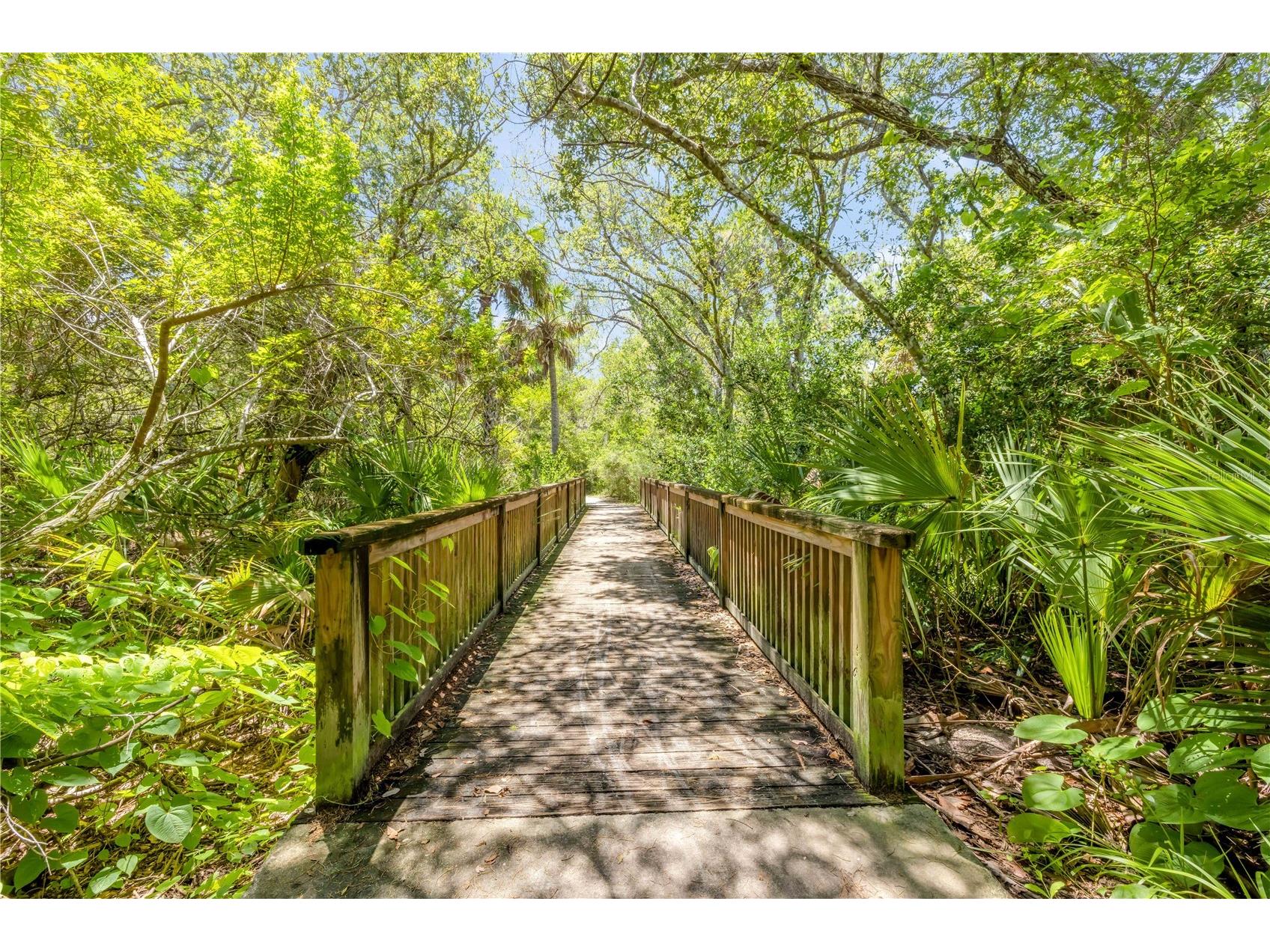 3211 Saxon Drive New Smyrna Beach FL 32169 NS1087994 image79