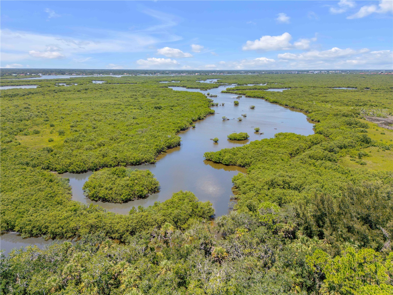 3211 Saxon Drive New Smyrna Beach FL 32169 NS1087994 image80