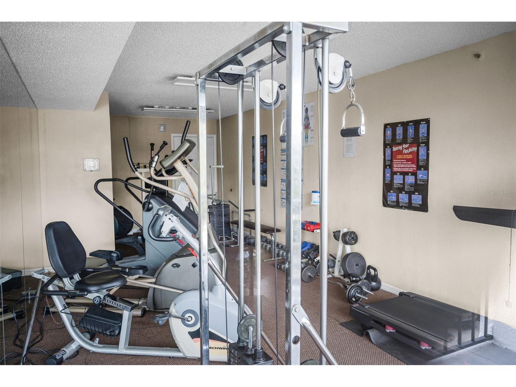 3211 W Swann Avenue #1001 Tampa FL 33609 TB8409649 image52