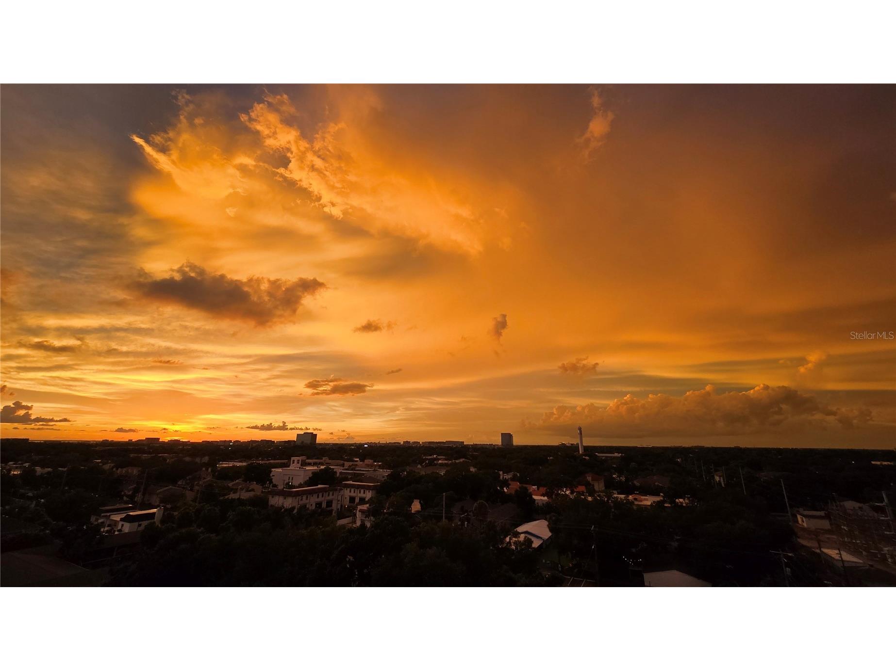 3211 W Swann Avenue #1110 Tampa FL 33609 TB8525418 image1