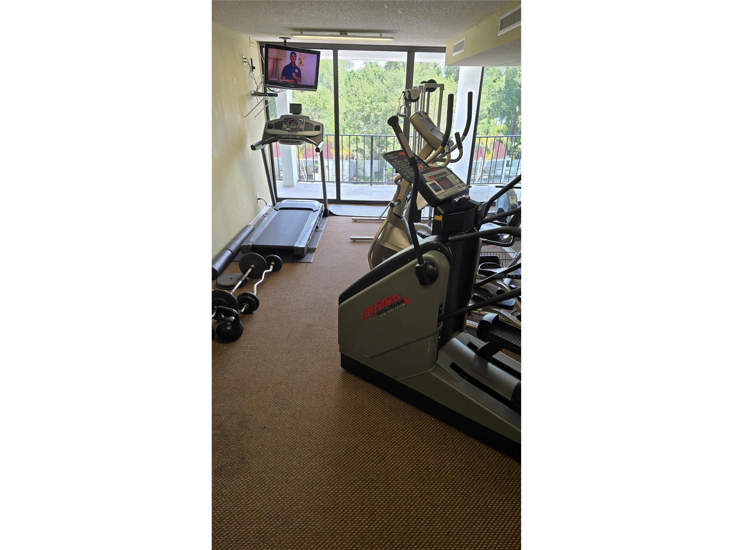 3211 W Swann Avenue #1110 Tampa FL 33609 TB8525418 image16