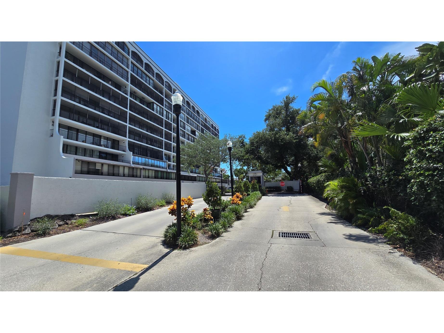 3211 W Swann Avenue #1110 Tampa FL 33609 TB8525418 image2