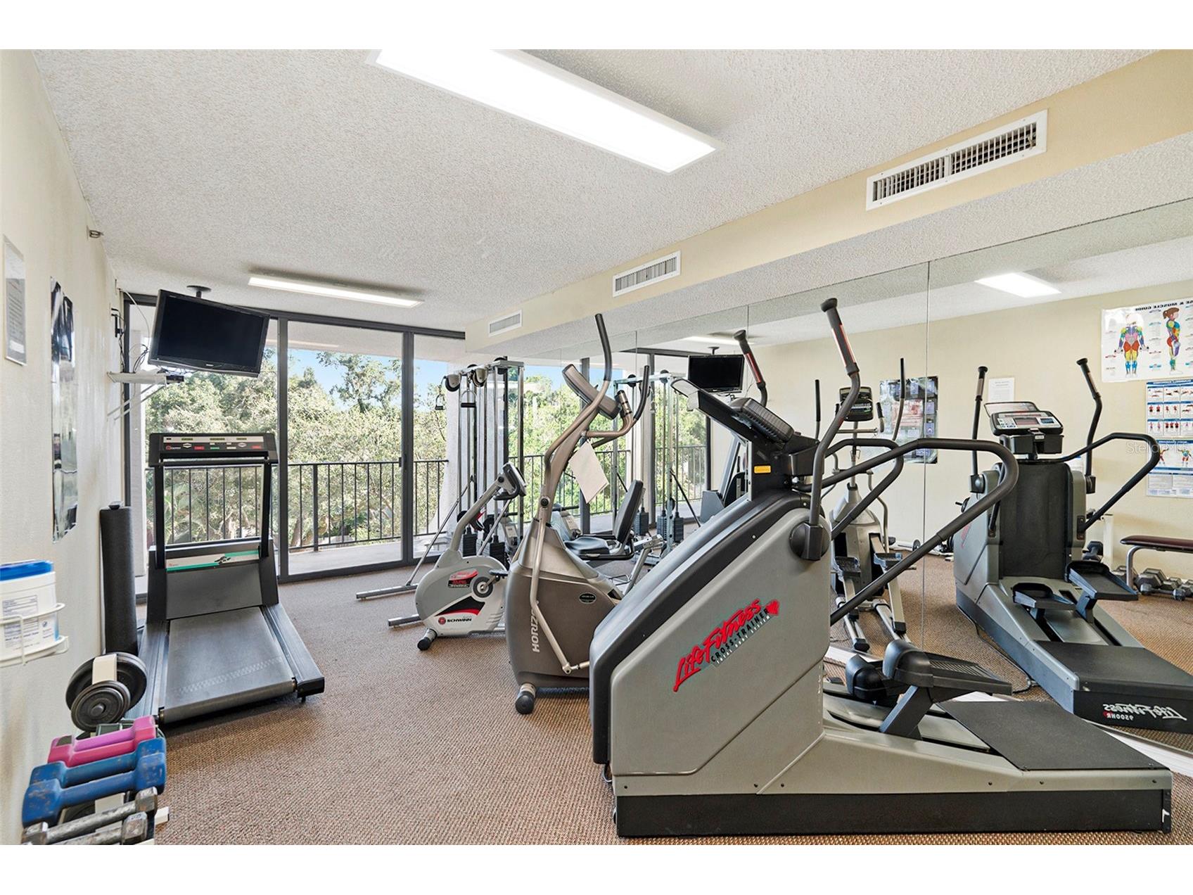 3211 W Swann Avenue #302 Tampa FL 33609 TB8516593 image24