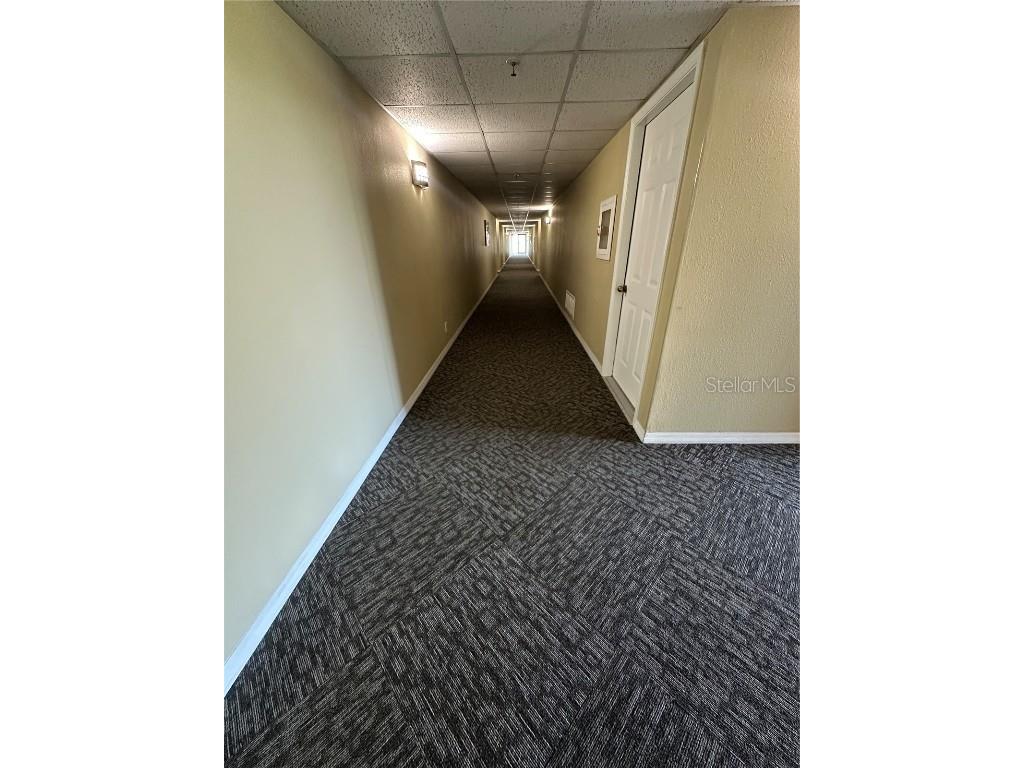 3211 W Swann Avenue #506 Tampa FL 33609 TB8434529 image4