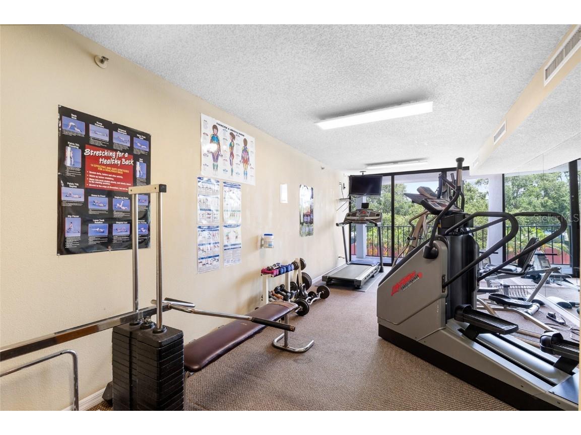 3211 W Swann Avenue #707 Tampa FL 33609 TB8391987 image34