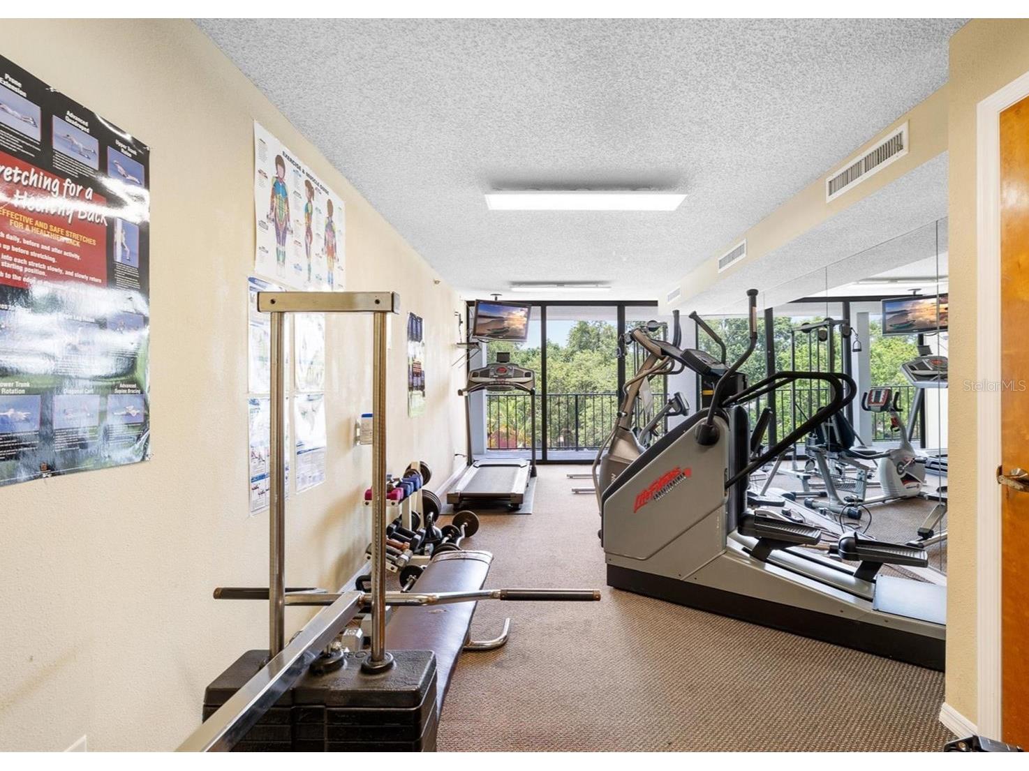 3211 W Swann Avenue #806 Tampa FL 33609 TB8412741 image31