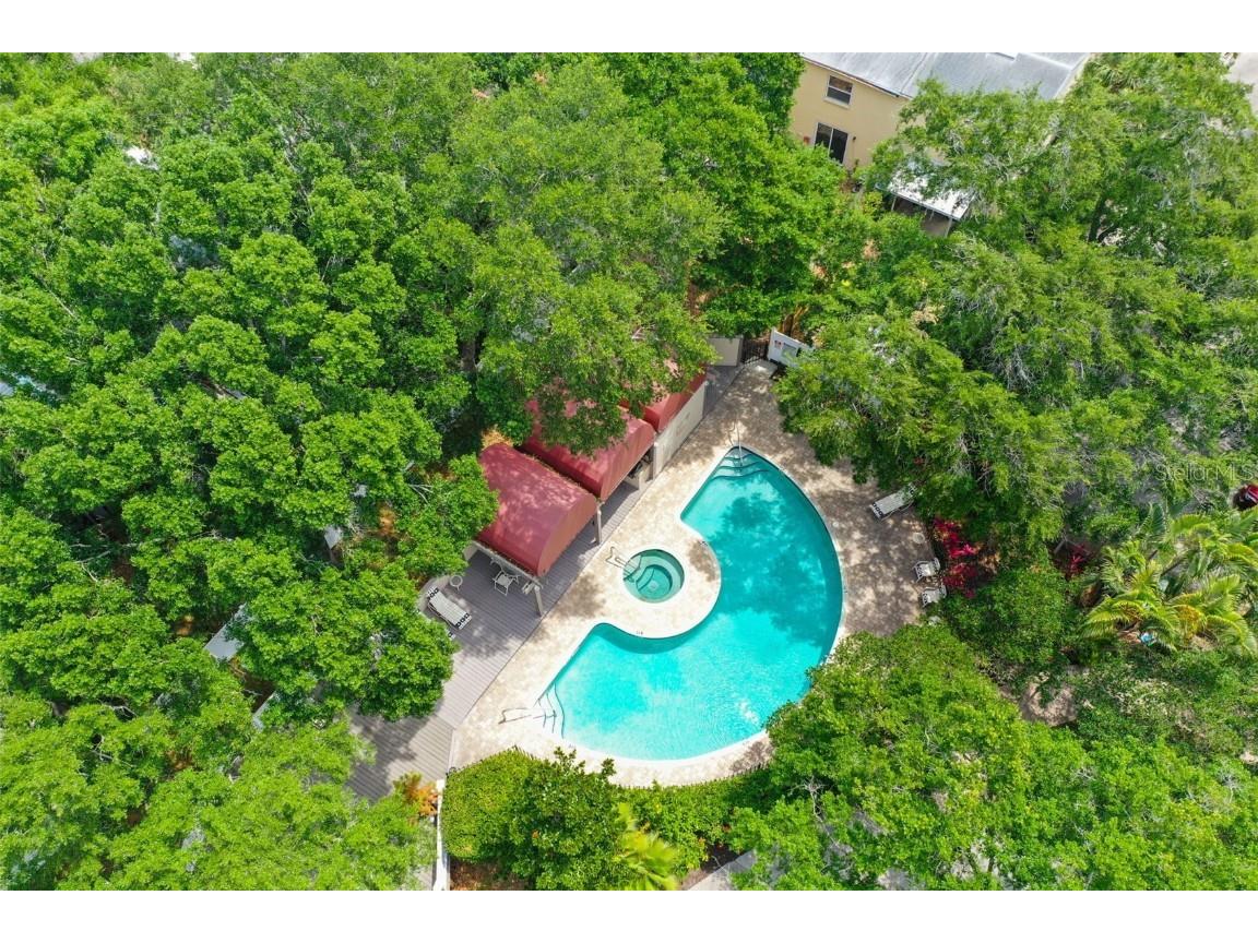 3211 W Swann Avenue #903 Tampa FL 33609 TB8439844 image25