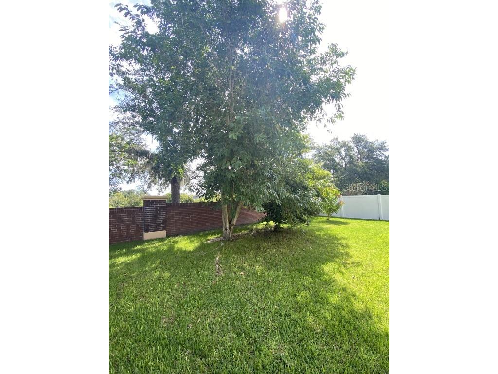 32111 Brookstone Drive Wesley Chapel FL 33545 TB8414037 image1