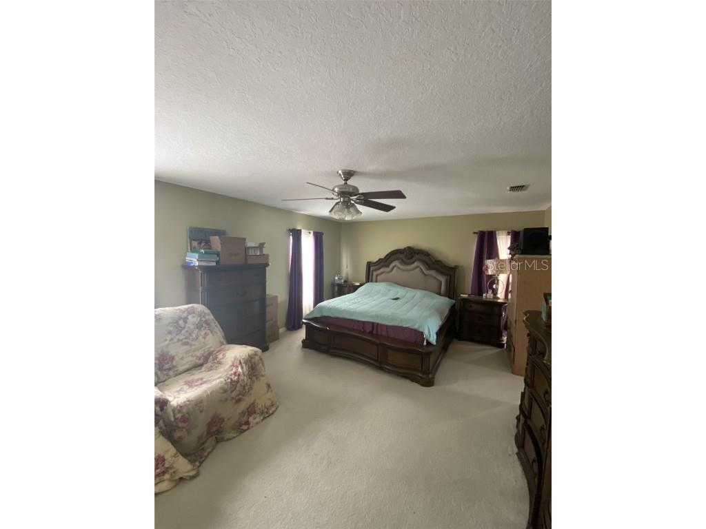 32111 Brookstone Drive Wesley Chapel FL 33545 TB8414037 image12