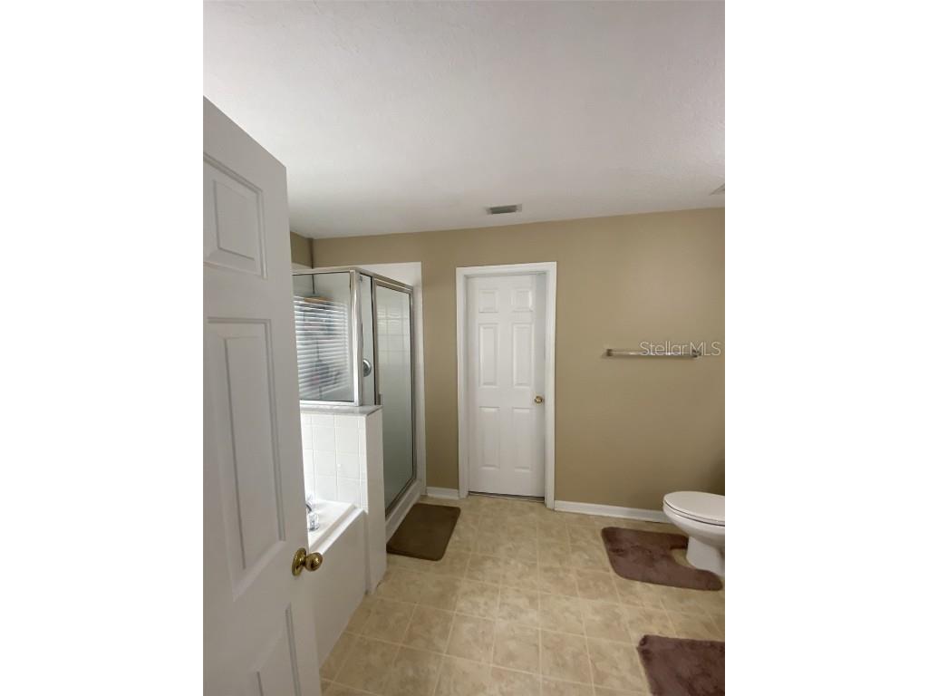 32111 Brookstone Drive Wesley Chapel FL 33545 TB8414037 image13