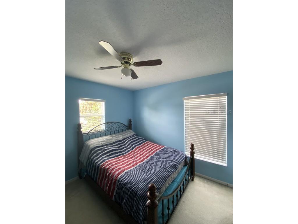 32111 Brookstone Drive Wesley Chapel FL 33545 TB8414037 image15