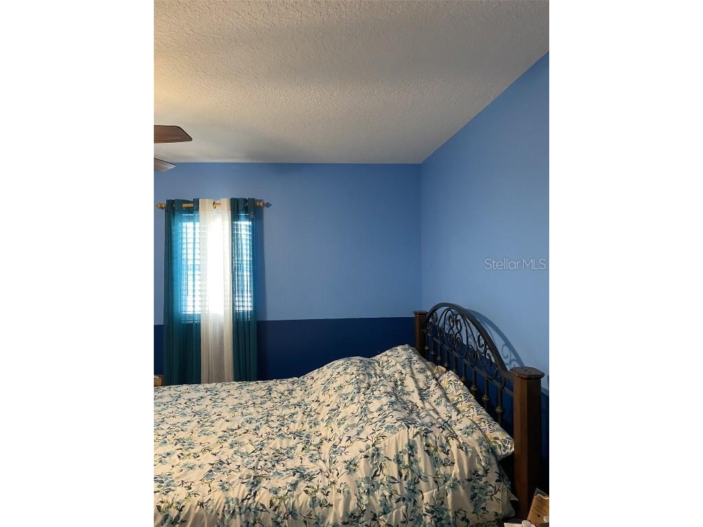 32111 Brookstone Drive Wesley Chapel FL 33545 TB8414037 image16