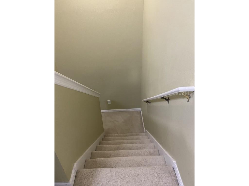 32111 Brookstone Drive Wesley Chapel FL 33545 TB8414037 image18