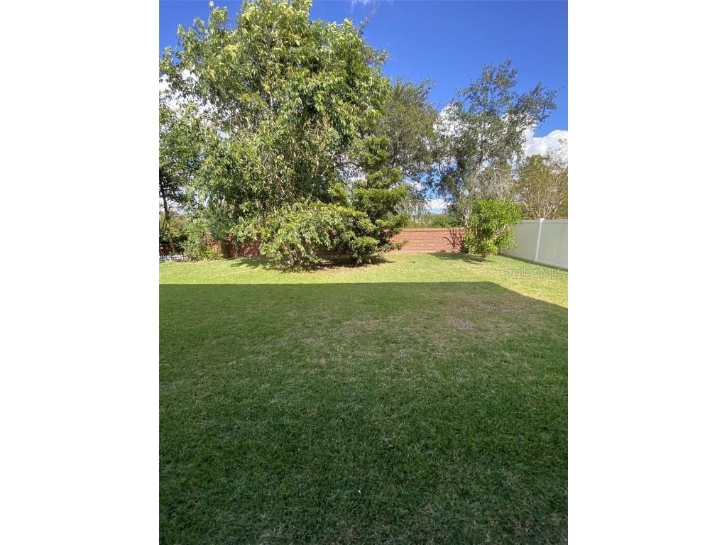 32111 Brookstone Drive Wesley Chapel FL 33545 TB8414037 image19