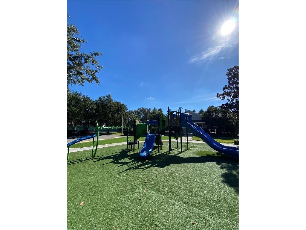 32111 Brookstone Drive Wesley Chapel FL 33545 TB8414037 image21