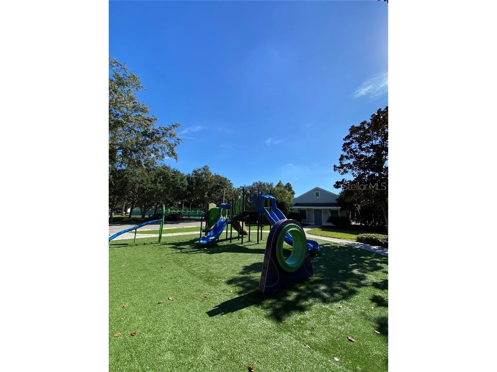 32111 Brookstone Drive Wesley Chapel FL 33545 TB8414037 image24