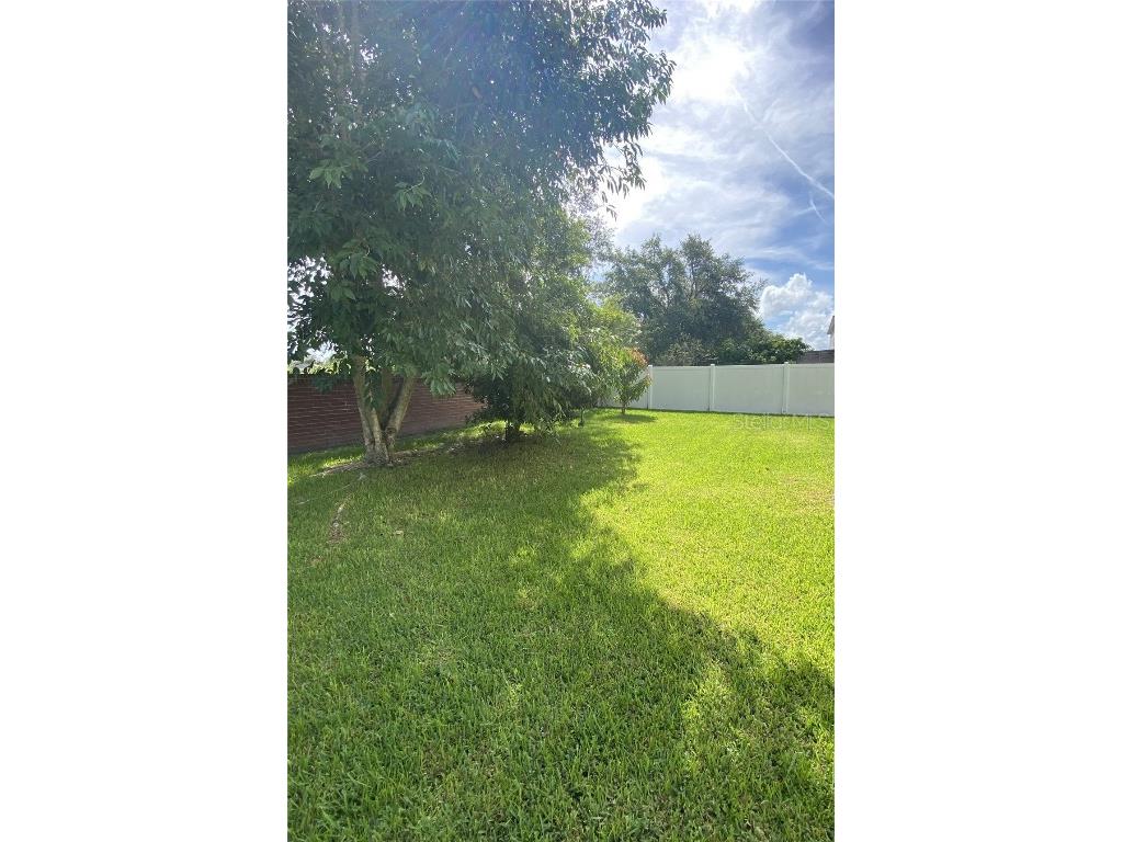 32111 Brookstone Drive Wesley Chapel FL 33545 TB8414037 image4