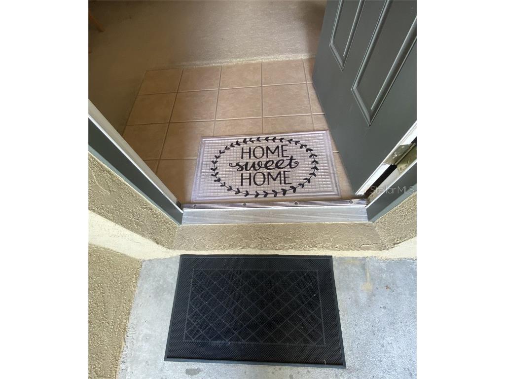 32111 Brookstone Drive Wesley Chapel FL 33545 TB8414037 image5