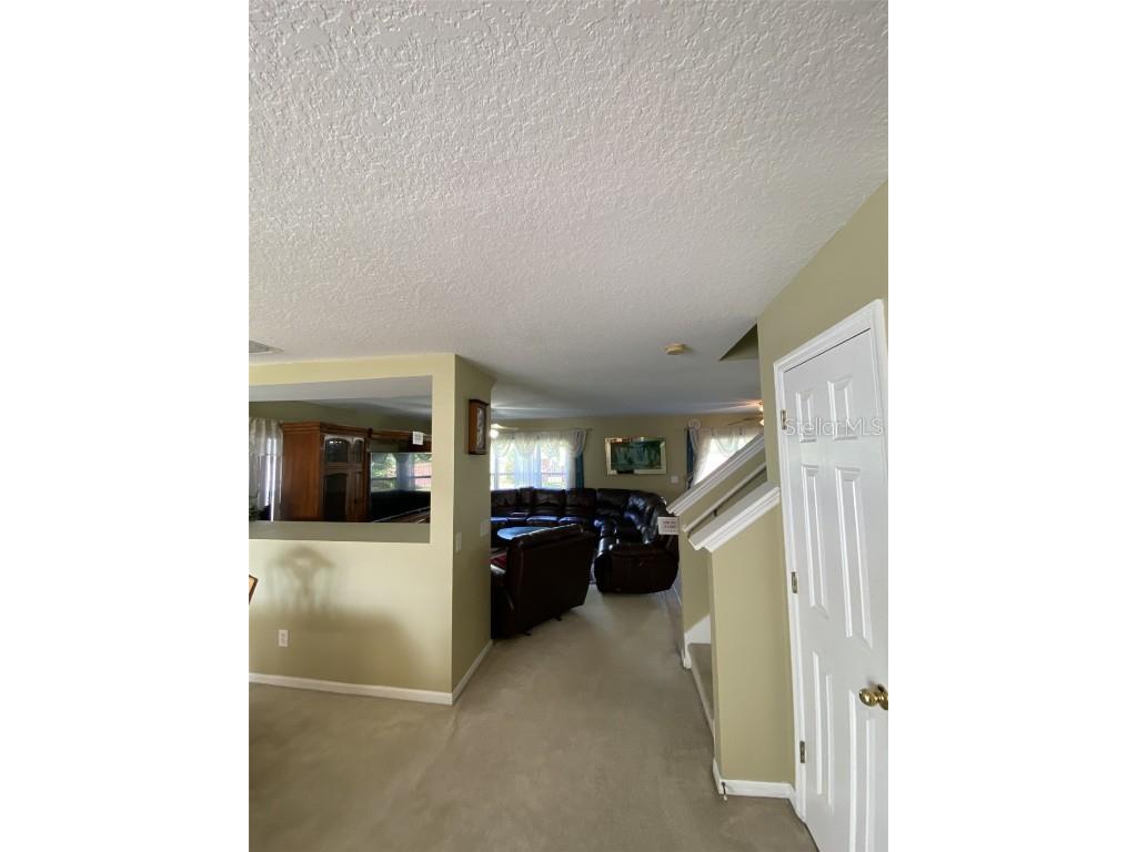 32111 Brookstone Drive Wesley Chapel FL 33545 TB8414037 image7