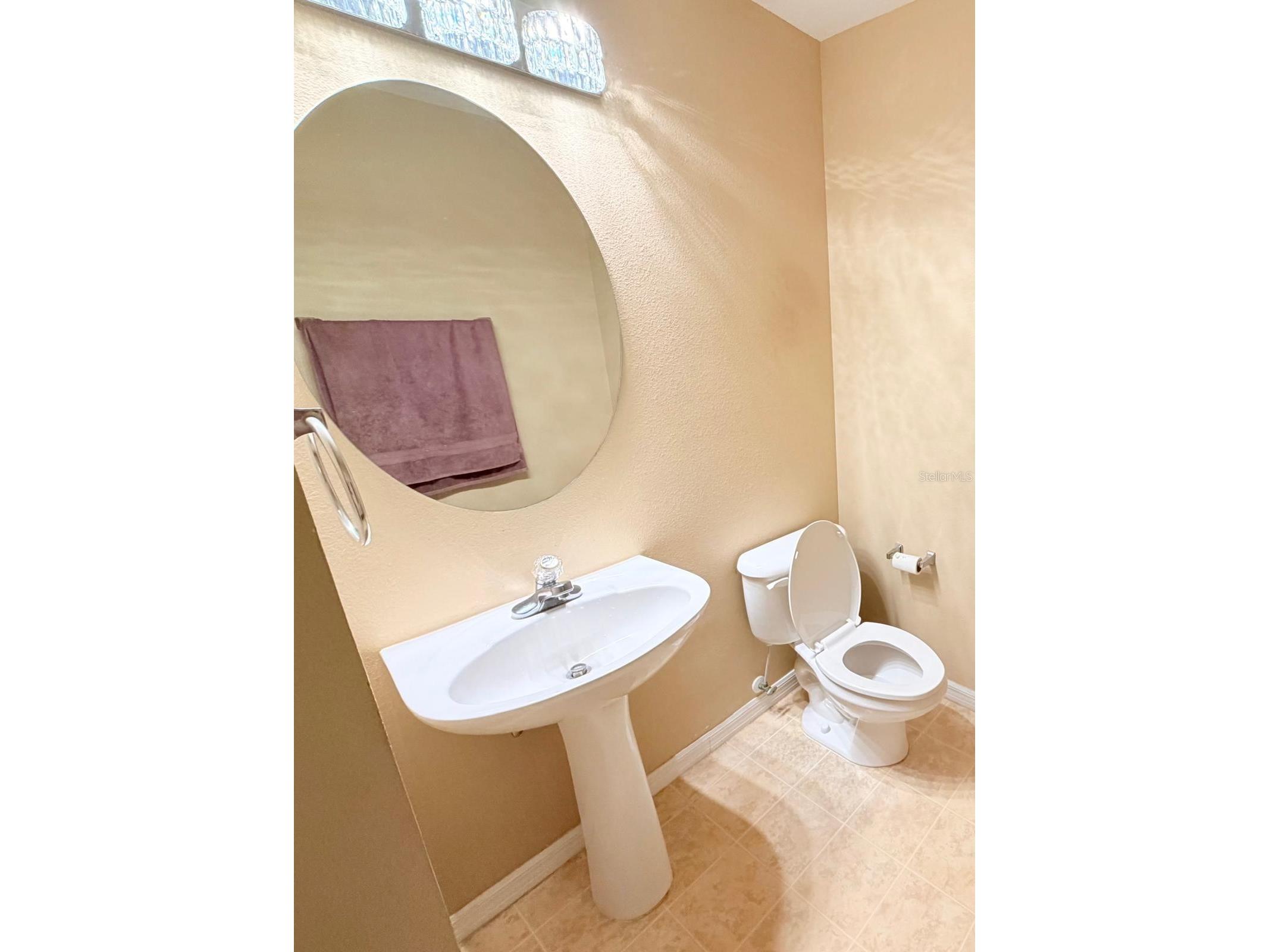 32111 Brookstone Drive Wesley Chapel FL 33545 TB8510433 image10