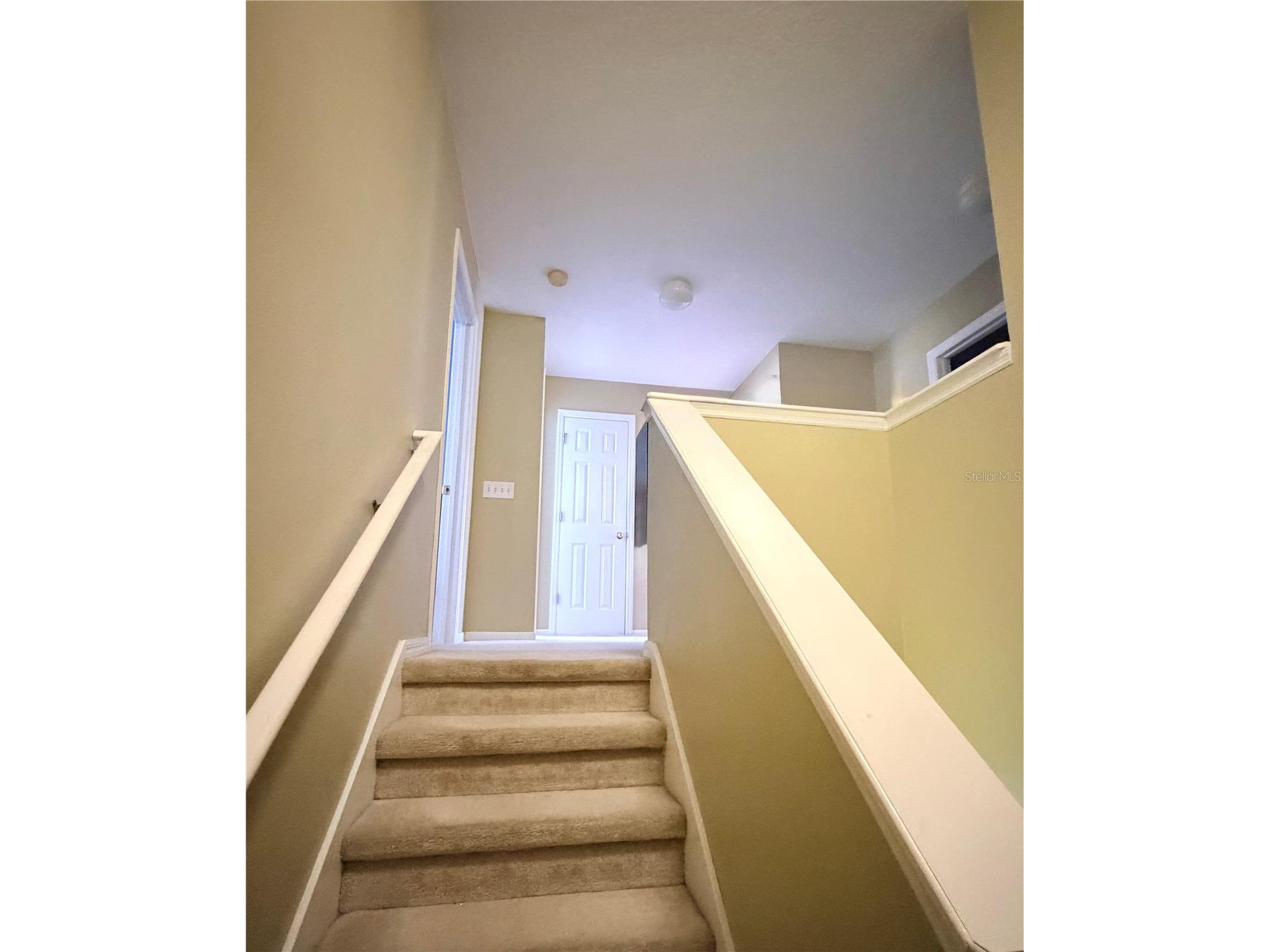 32111 Brookstone Drive Wesley Chapel FL 33545 TB8510433 image11