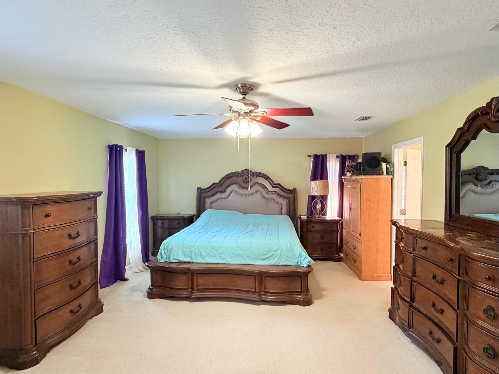 32111 Brookstone Drive Wesley Chapel FL 33545 TB8510433 image12