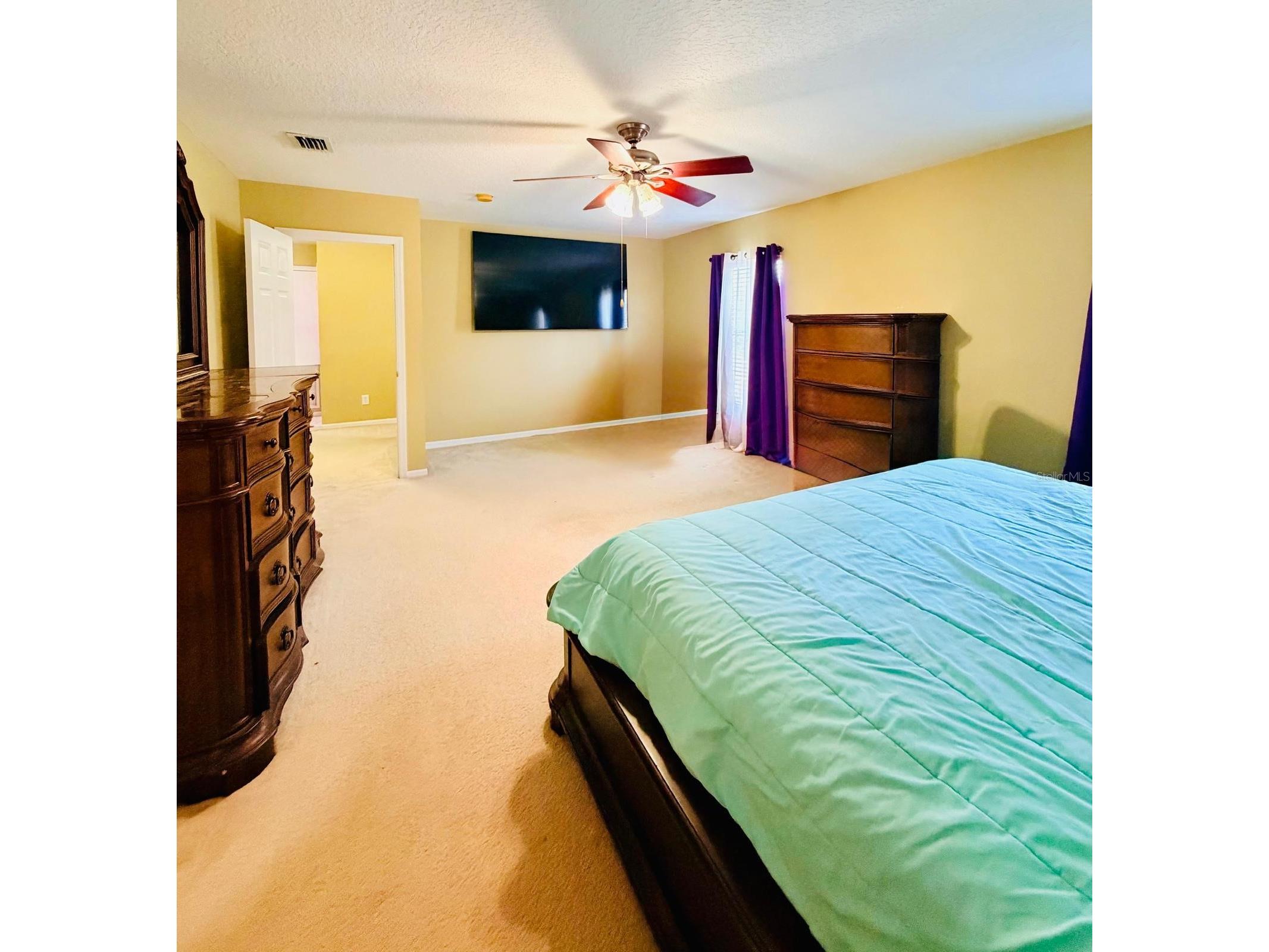 32111 Brookstone Drive Wesley Chapel FL 33545 TB8510433 image13