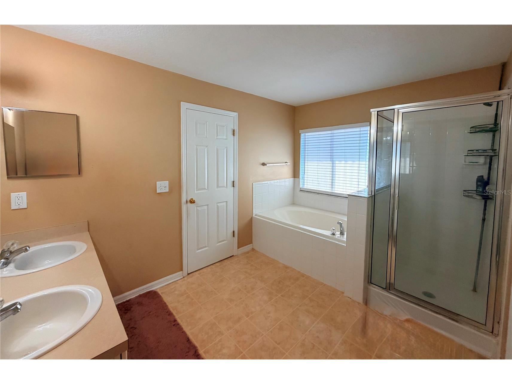 32111 Brookstone Drive Wesley Chapel FL 33545 TB8510433 image14