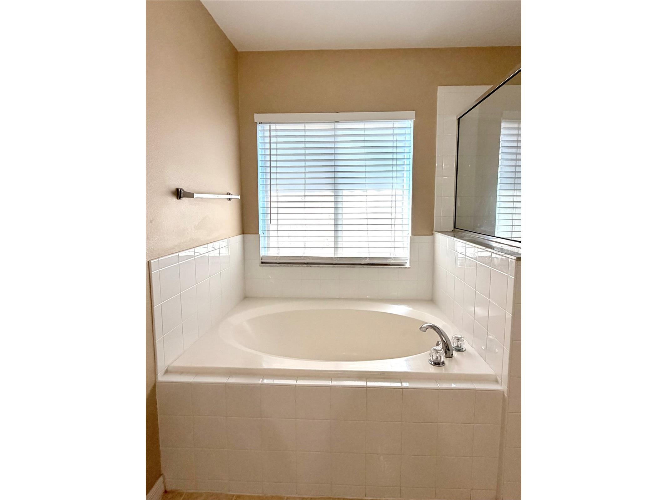 32111 Brookstone Drive Wesley Chapel FL 33545 TB8510433 image15