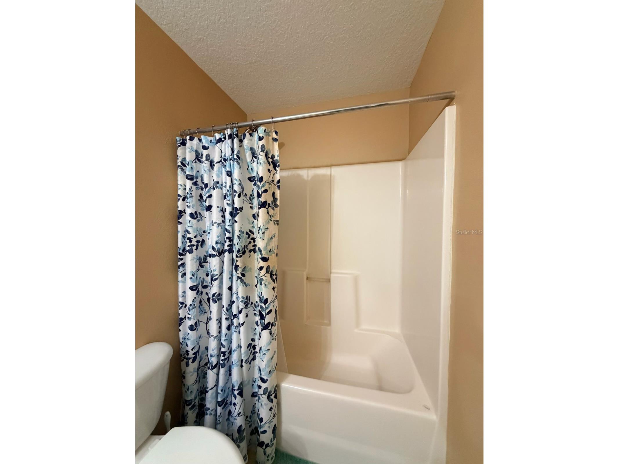 32111 Brookstone Drive Wesley Chapel FL 33545 TB8510433 image19