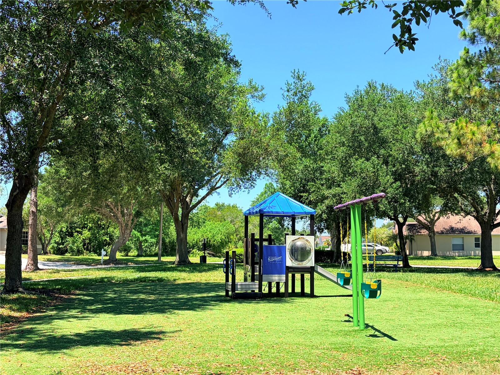 32111 Brookstone Drive Wesley Chapel FL 33545 TB8510433 image21